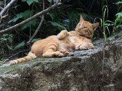 -华山风景名胜区