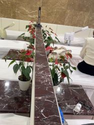 -悟空祛痘·诺奖技术专业店