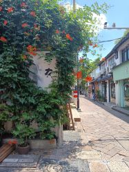 -一揽芳华汉服旗袍体验馆(拙政园店)