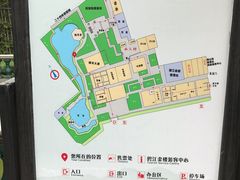 -碧江金楼