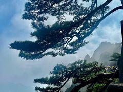 -黄山风景区