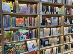 -猫的天空之城概念书店(杭州南宋御街店)