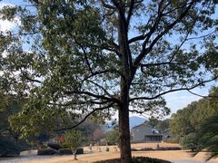 -陶祖圣境风景区