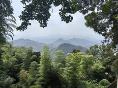 -莫干山风景区