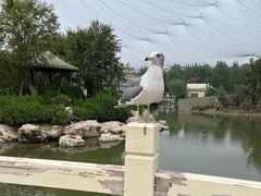 -泉城欧乐堡海洋极地世界