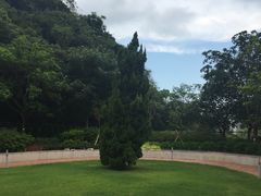 -香港大学