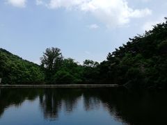 -鲁山国家森林公园