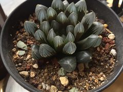 -鈊藝銀匠·银饰DIY工作室(永庆坊店)