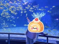 -泉城欧乐堡海洋极地世界