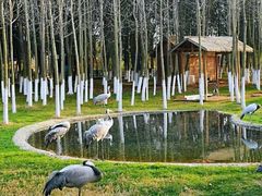 -艾溪湖湿地公园