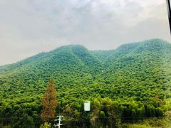 -江南天池