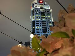 -城市露台景观餐厅(淮海路店)