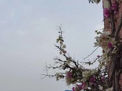 -蓝顶教堂