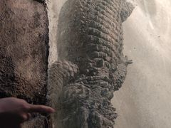 -新疆天山野生动物园