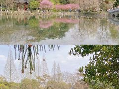 -莫愁湖公园