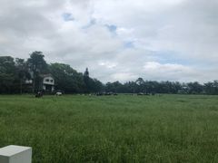 -瑞穗牧场花莲门市