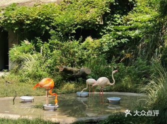 都是娃的天堂，人超多 蛮干净的，有15的游览车