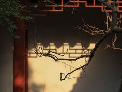 -秋霞圃