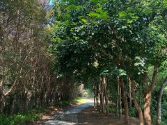 -水底山庄园温泉