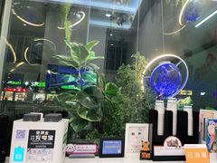 -纳吉亚猫专科动物医院·北北分院