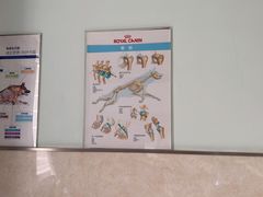 -酷宠动物医院(天通西苑店)