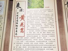 -广州神农草堂中医药博物馆