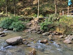 -广州白江湖森林公园