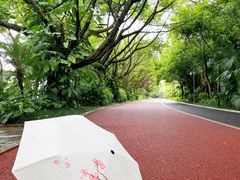 -南宁南湖公园