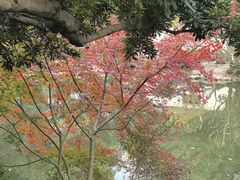 -汇龙潭