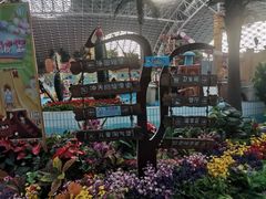 -天山海世界·米立方