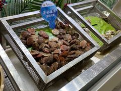 -集杰尚品海鲜烤肉自助餐厅(乳山振华店)