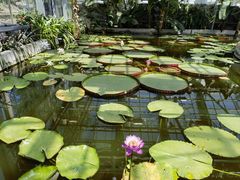 -国家植物园南园