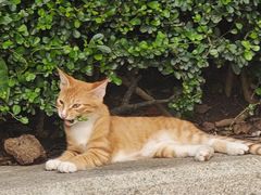 -烈士陵园(地铁站)