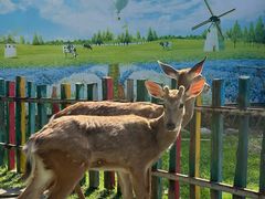 -广东花都香草世界旅游度假区