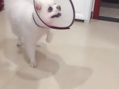 -美迦爱-牙专科·兔科·骨科诊疗中心(北苑店)