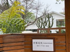 -柠檬花院烤肉·围炉煮茶·草坪团建·生日派对(三圣乡店)