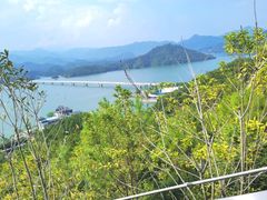-千岛湖天屿景区