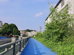 -长洲岛