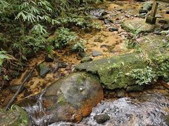 -海南热带雨林国家公园吊罗山景区