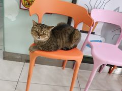 -纳吉亚猫专科动物医院博雅分院
