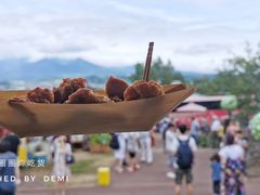 -富田农场