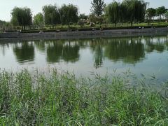 -郑东新区龙湖公共艺术中心