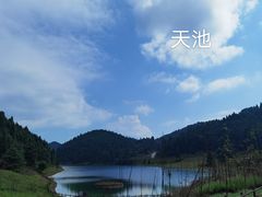 景点-武陵山森林公园