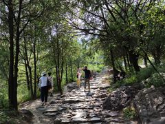 -阳台山自然风景区