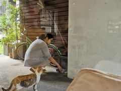 -猫里有甜