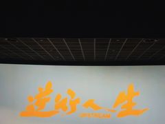 -英皇电影城(英皇集团中心IMAX店)