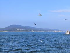 -刘公岛景区