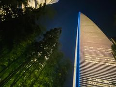 -上海柏悦酒店·世纪100牛排馆
