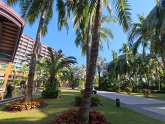 -三亚湾海居雅高铂尔曼度假酒店