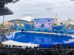-上海海昌海洋公园